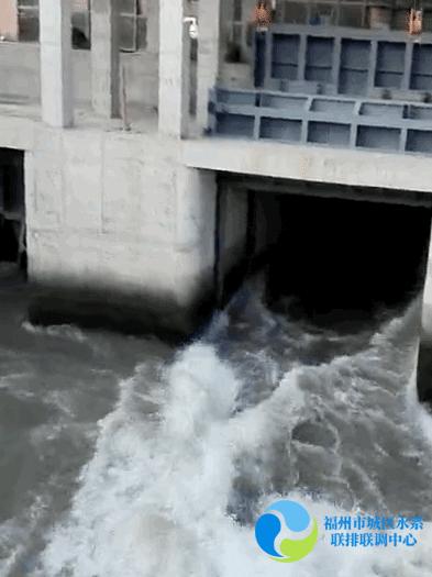 福建台风最新动态下的温馨日常故事与动态更新