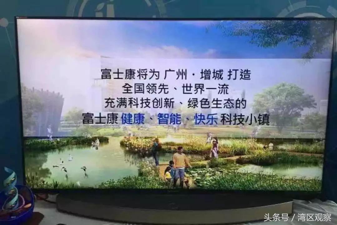 粤港澳大湾区最新规划，探索自然美景之旅，寻求内心宁静与平和