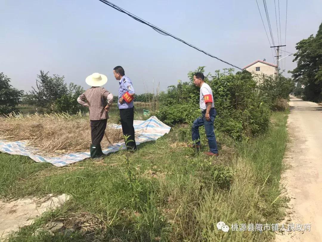 🌟常德陬市镇最新资讯🌟