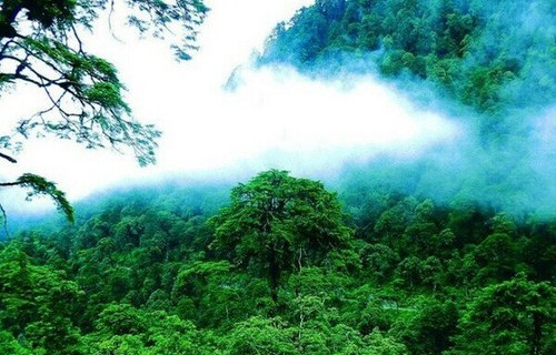 玖玖热最新地址，自然美景的治愈之旅探索之旅