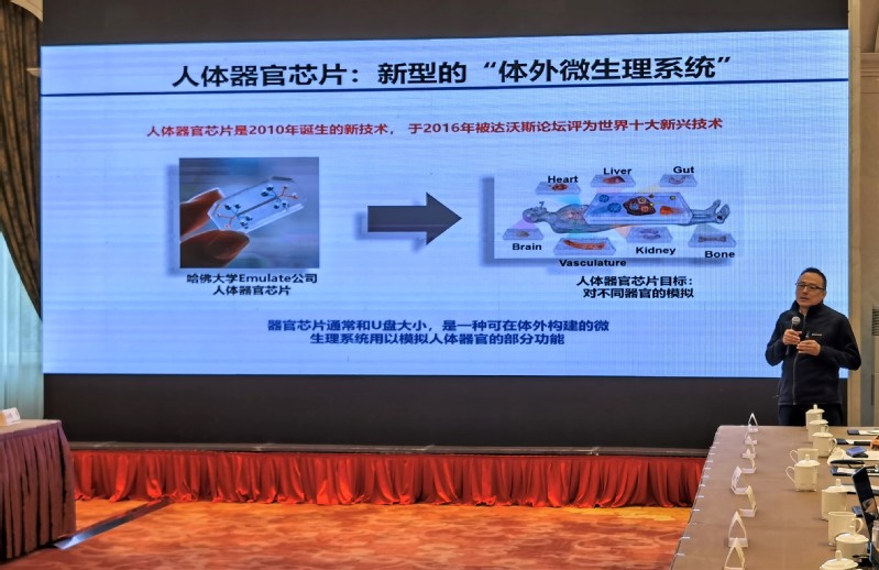 二六三公司引领科技革新，塑造未来生活新潮流