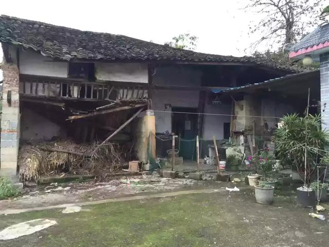 农村宅基地最新政策解读与观点论述