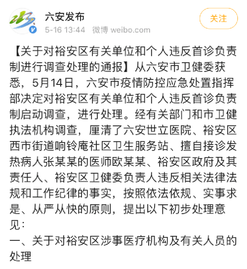 最新最热新闻聚焦，温馨日常中的爱与陪伴