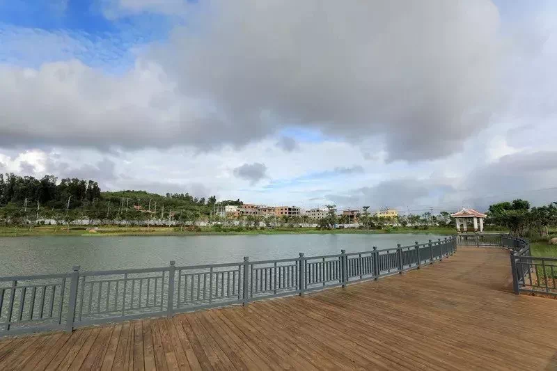 翔安大桥最新动态，探索自然美景之旅，寻觅内心宁静与平和