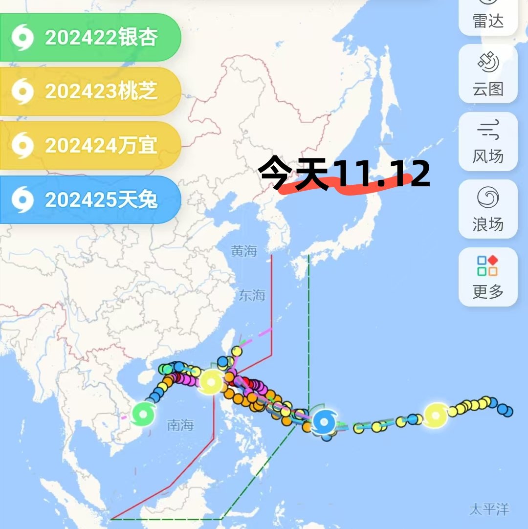 台风4号最新动态下的温馨日常观察