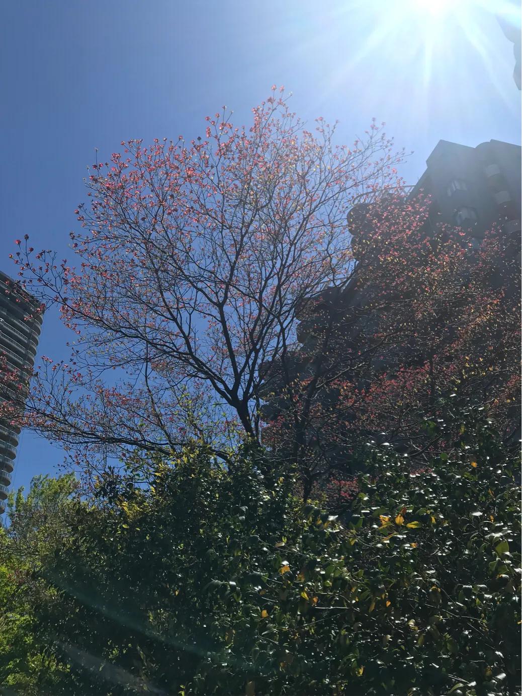 中国疫情最新数据与探索自然美景之旅，重拾内心宁静