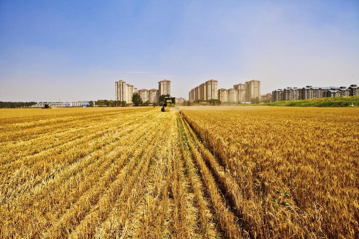 今日最新大豆价格，科技驱动下的智能生活新篇章