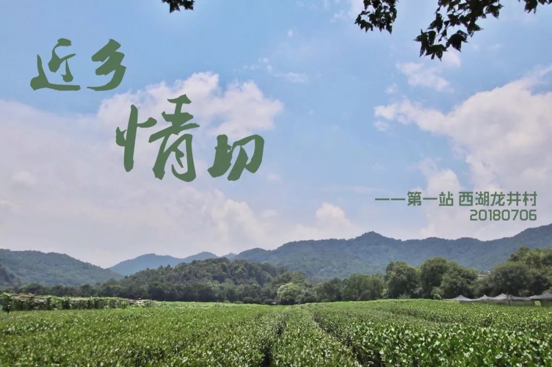 最新青青青，自然美景之旅，探寻内心平和与喜悦的旅程