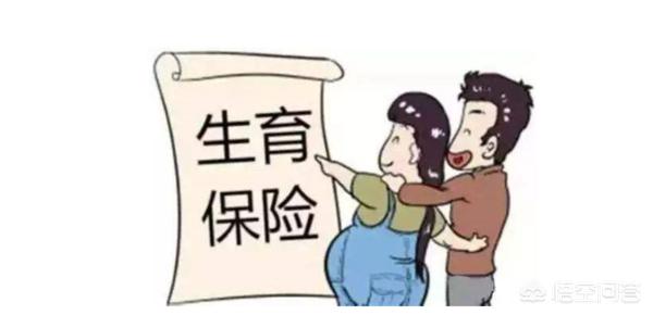 生孩报销最新政策解读与概述