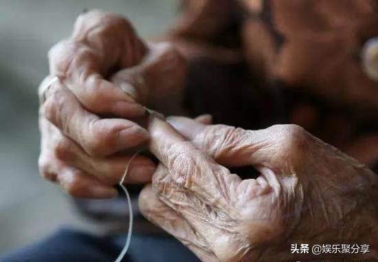 洛阳今世福最新动态及观点论述
