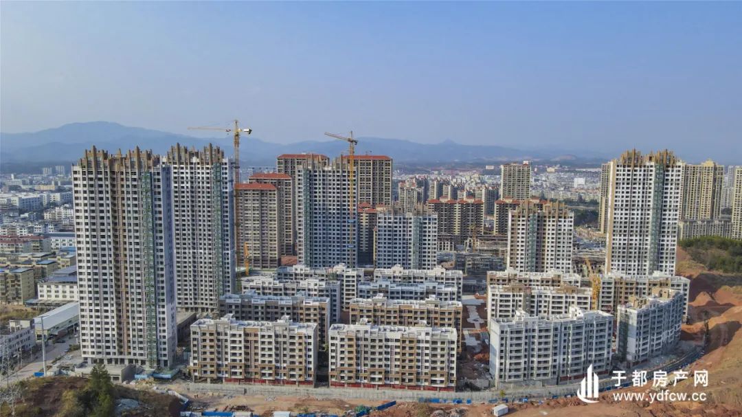 江西于都最新开盘房价揭秘与趋势分析🏠