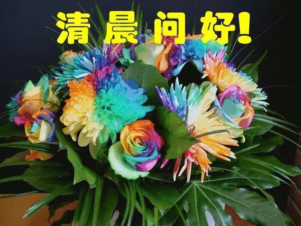 最新动态早上好图,最新动态早上好图——智能生活的新篇章
