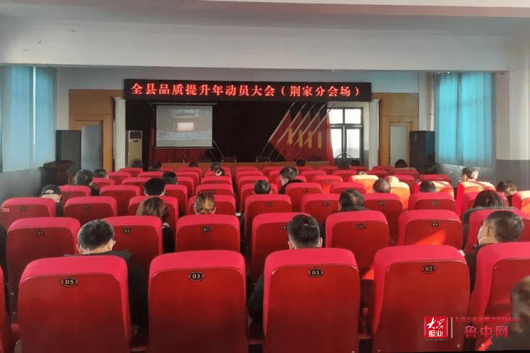 荆家镇最新发展动态概览