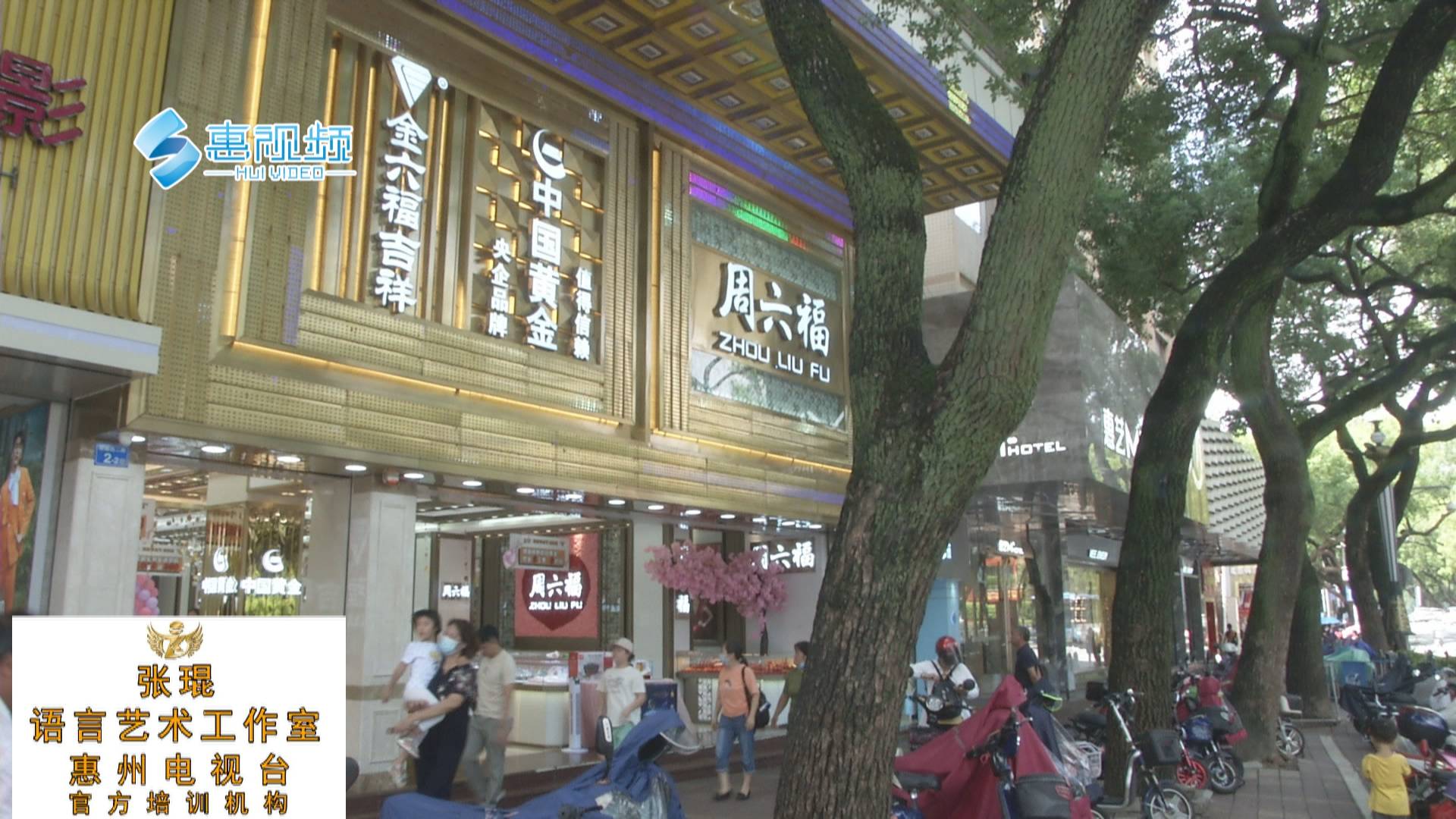 葡金财富最新揭秘，小巷中的宝藏小店