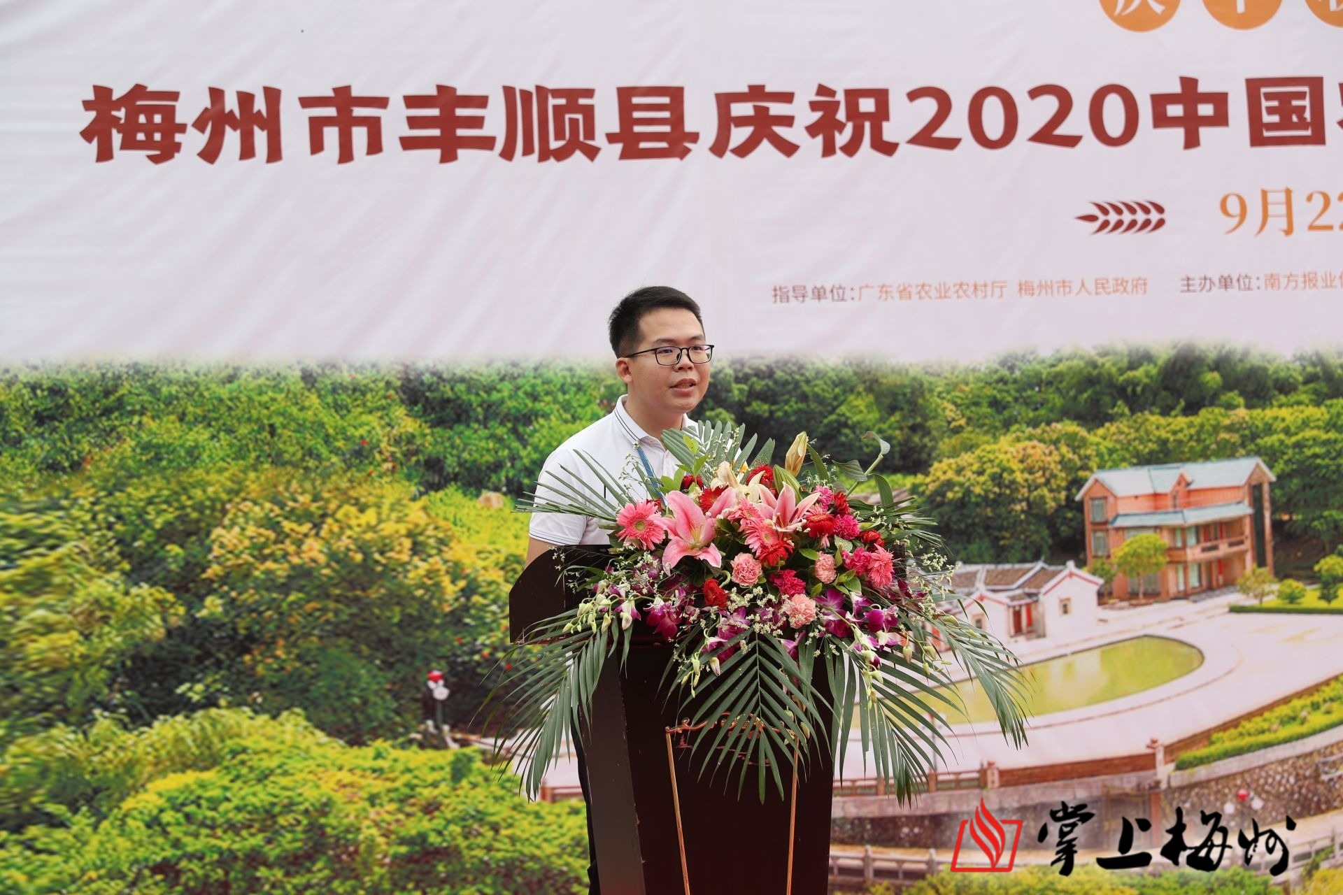 新丰新闻最新消息速递，重大更新一览无余！