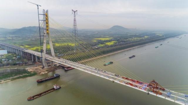 枞阳公路最新动态，最新消息一览🛣️
