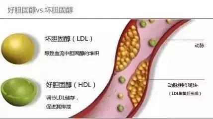 奥秘与影响