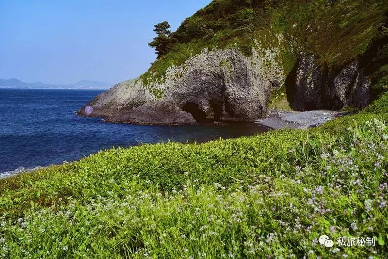 日本绿岛的温馨日常故事