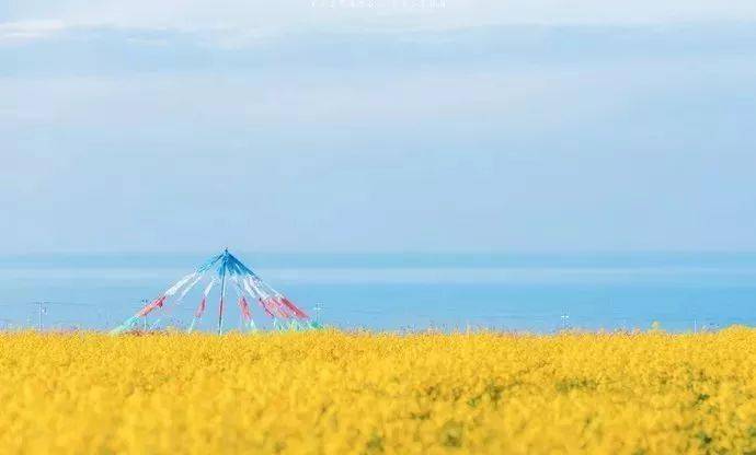 心灵之旅，奔跑的力量与探索自然美景的旅程