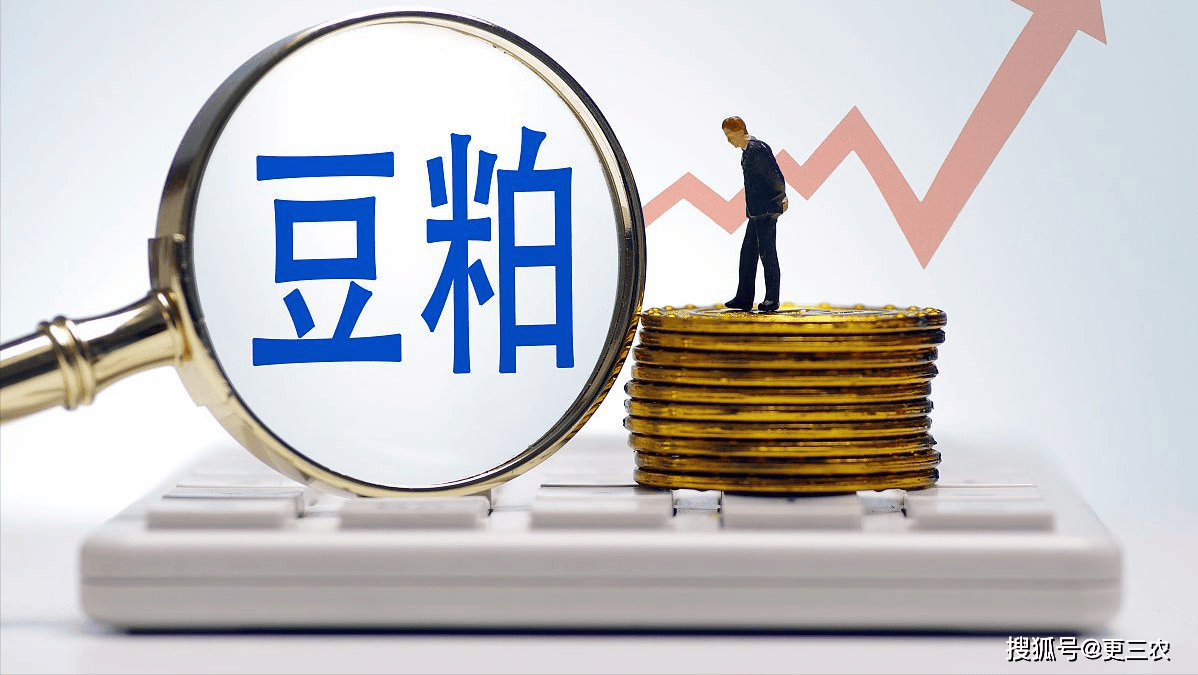 科技助力洞悉豆粕市场新动向今日行情分析