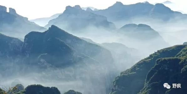 鹧鸪中套最新视频，探索自然美景，寻找内心平静之旅
