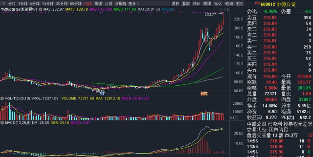 最新新股走势解析与趋势分析