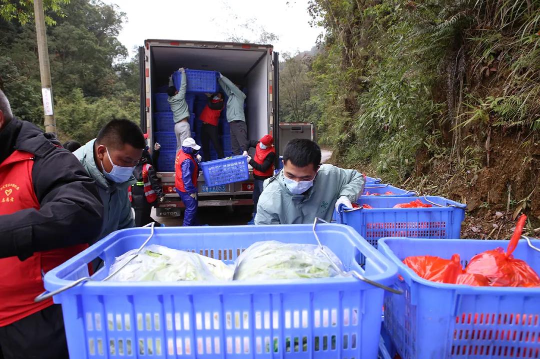 广东罗定最新新闻报道及观点阐述