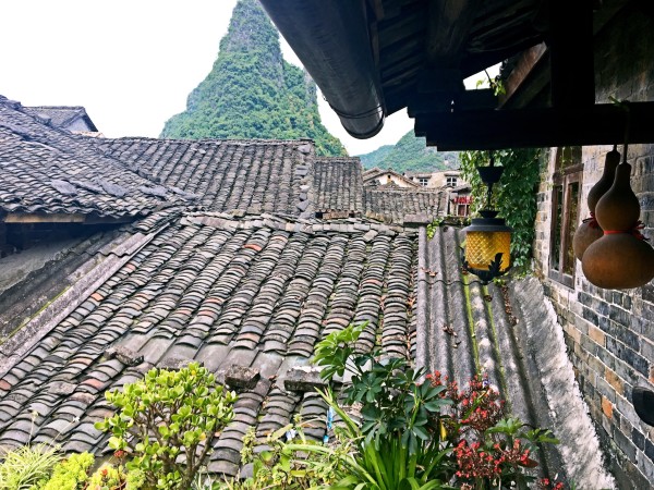 枫泾最新房价与探索自然美景之旅，追寻内心的宁静