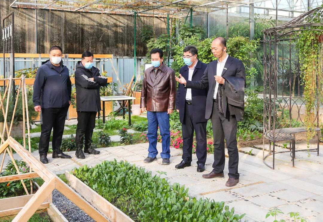 马鞍山四季青科技引领智能生活新标杆动态更新