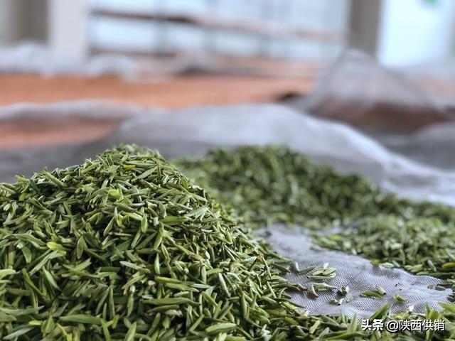 南郑撤县设区最新进展，进展热烈，未来展望令人期待！