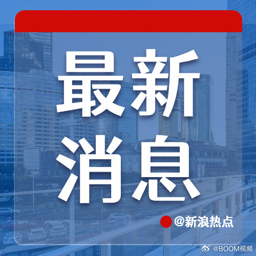 🔥6号最新消息速递，震撼更新降临！