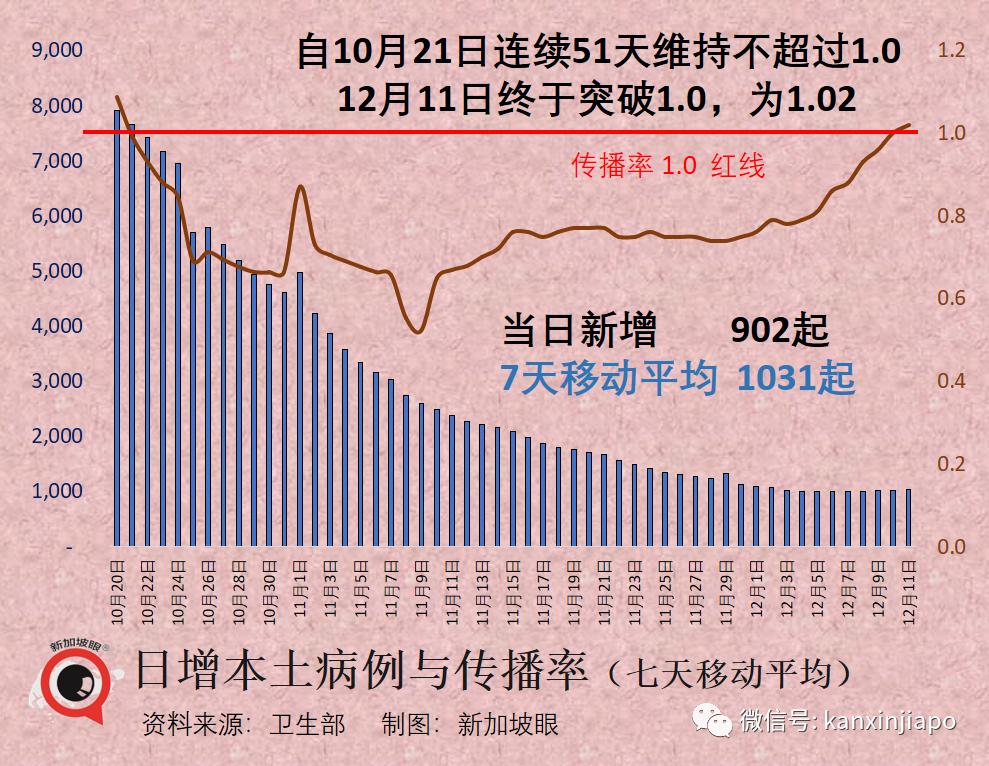 探索自然美景之际，最新增新确诊病例动态更新之外的世界