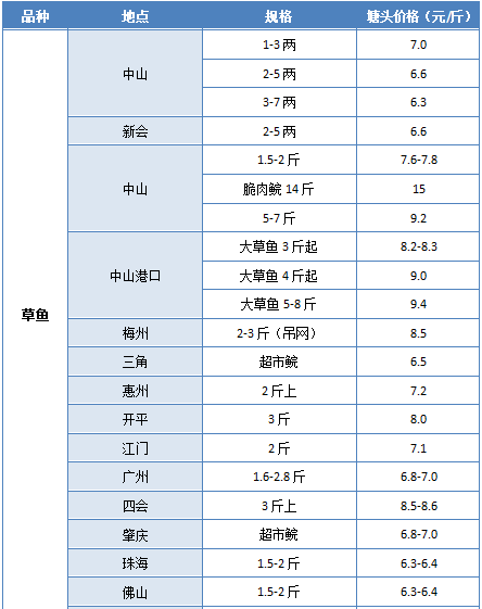 温馨日常观察