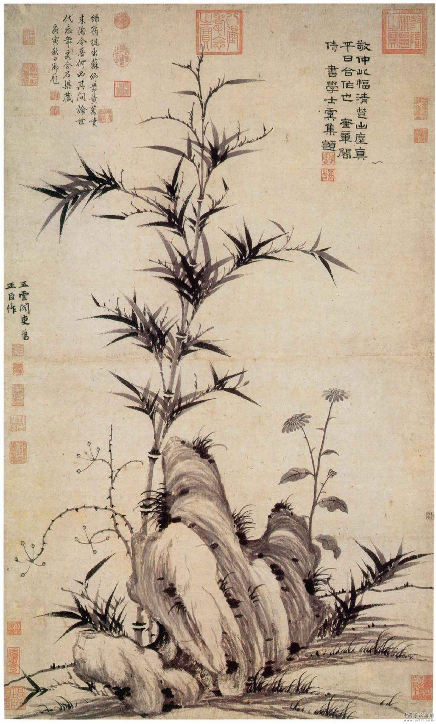 最新都市电视，自然美景的心灵之旅，探寻内心平和的启程