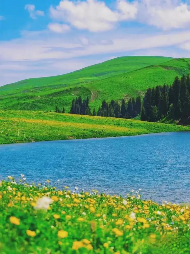 最新章节揭秘，自然美景旅行邀请
