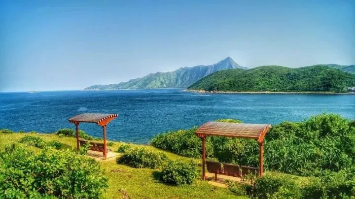 新丽公司最新动态，自然美景之旅，探寻内心平和与喜悦的旅程