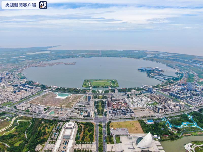 上海临港新闻最新动态，详细步骤指南与最新消息速递