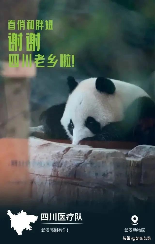 nod32最新用户名和密码分享，安全守护即刻启动！