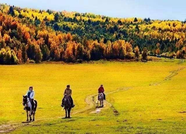 自然美景之旅，最新飙升的亲密旅行体验