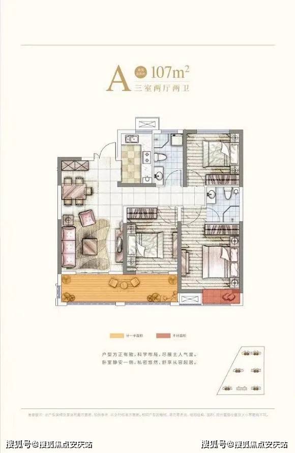 最新看图软件详解，全面解析与观点阐述