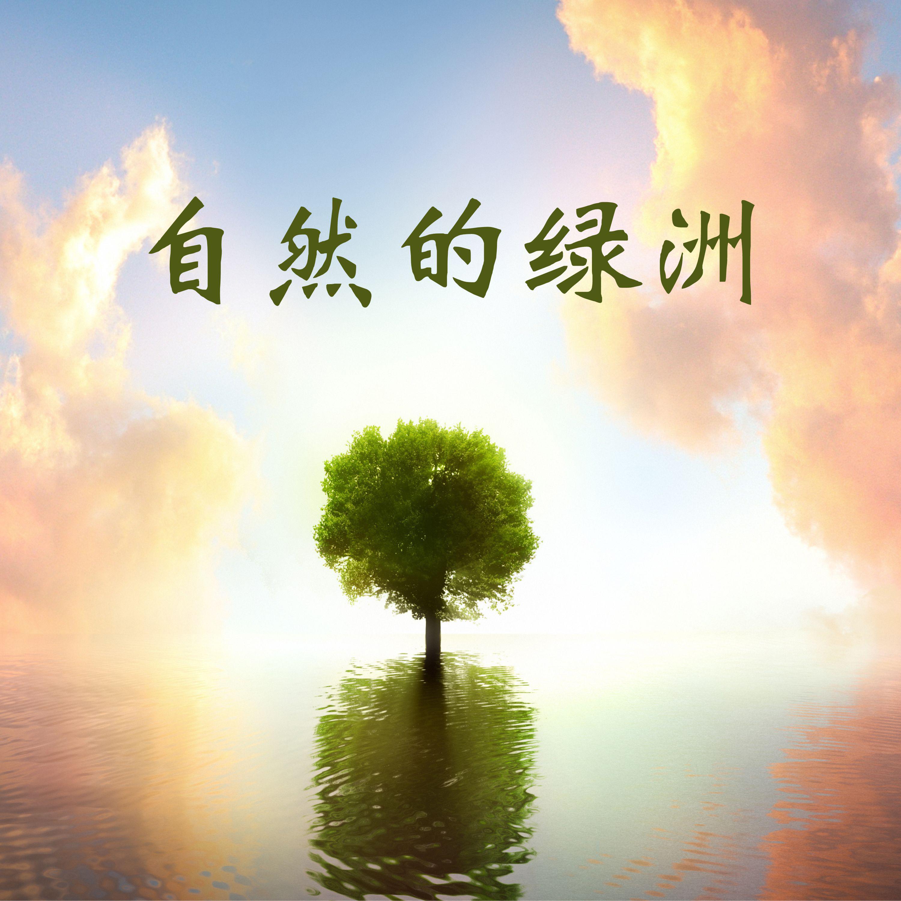 美国最新神曲，自然之旅的心灵觉醒之歌