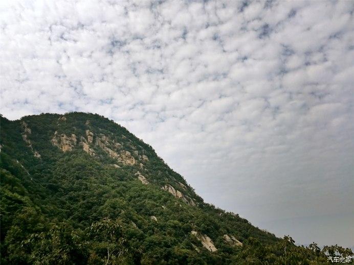 揭秘最新虐泰迪事件，背景、事件、影响与时代地位分析