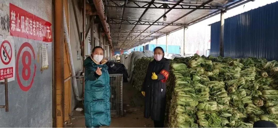 武清最新司机招聘，与自然共舞，探寻内心宁静的乐园