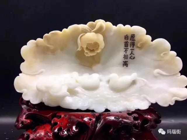 砗磲最新价格，蜕变中的价值，学习成就成功距离