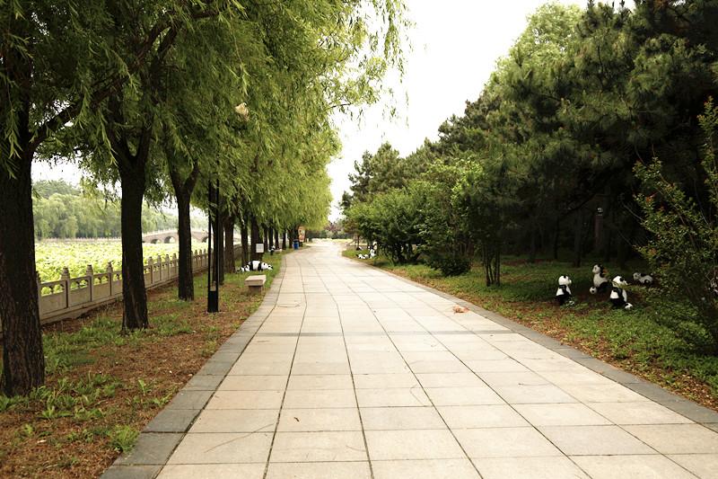 秦皇岛最新楼盘，理想的滨海生活选择之地