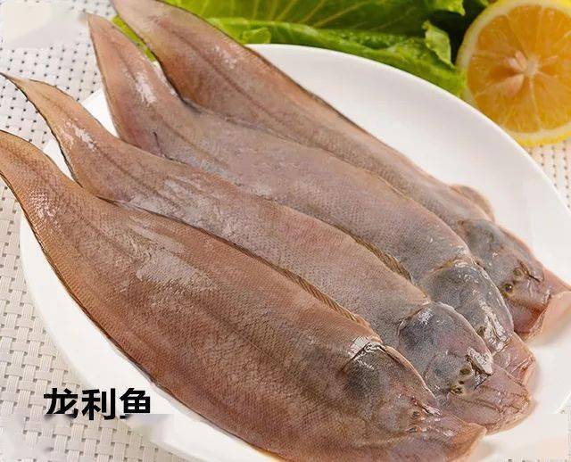 鱼宝最新价格揭秘，小巷中的秘密美食探秘之旅