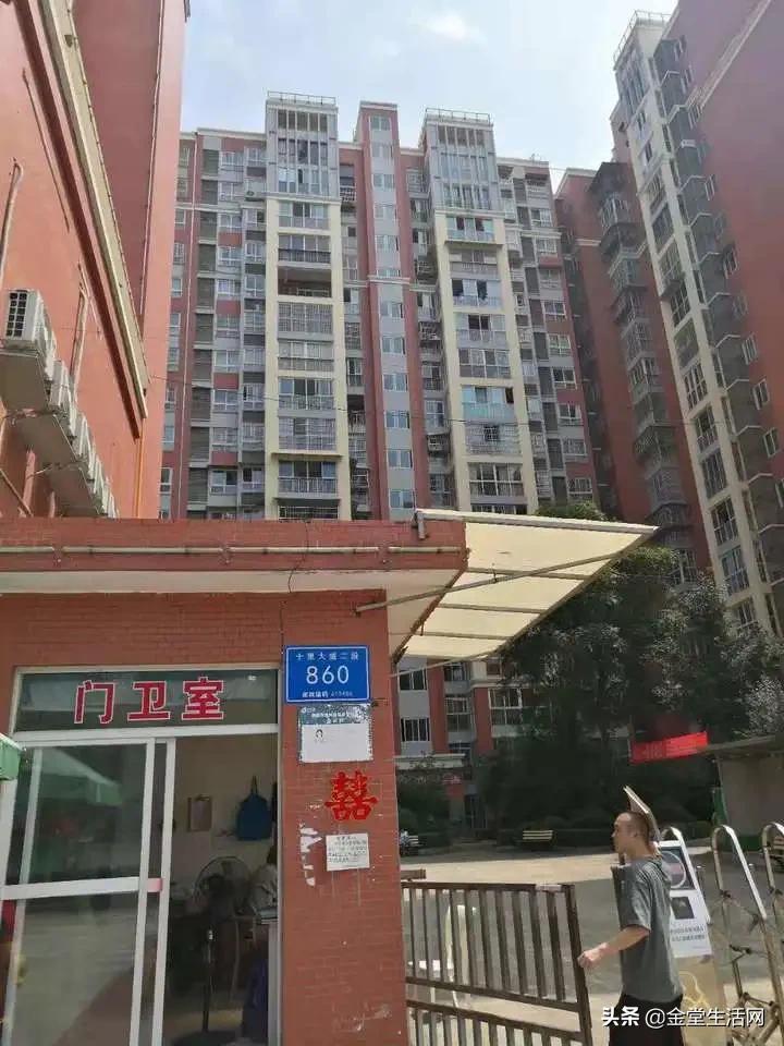 金堂大道最新动态，温馨旅程的进展与消息更新