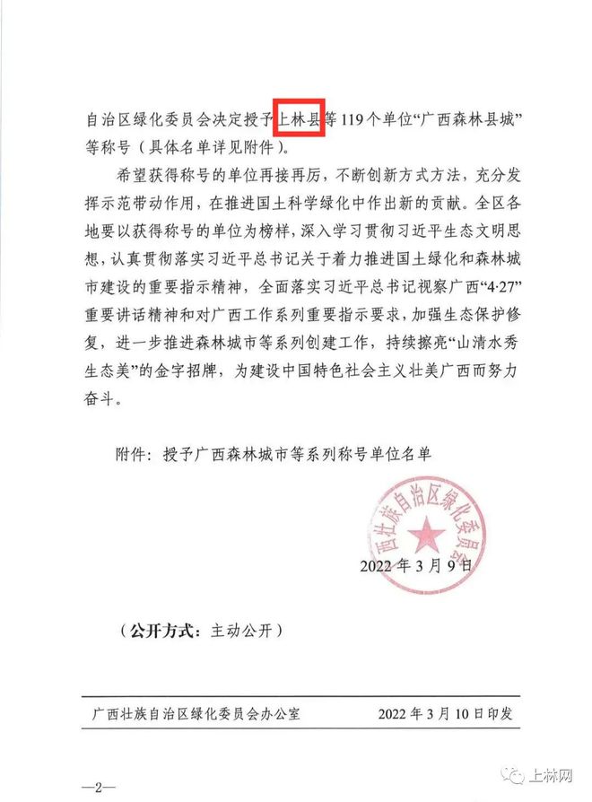 上林网最新消息揭秘，巷弄深处的独特风味