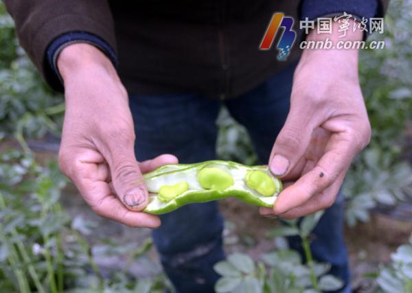 慈溪城际铁路最新动态，时代脉搏与地方希望