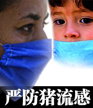 猪流感奇遇记，2017年最新动态与温馨趣事